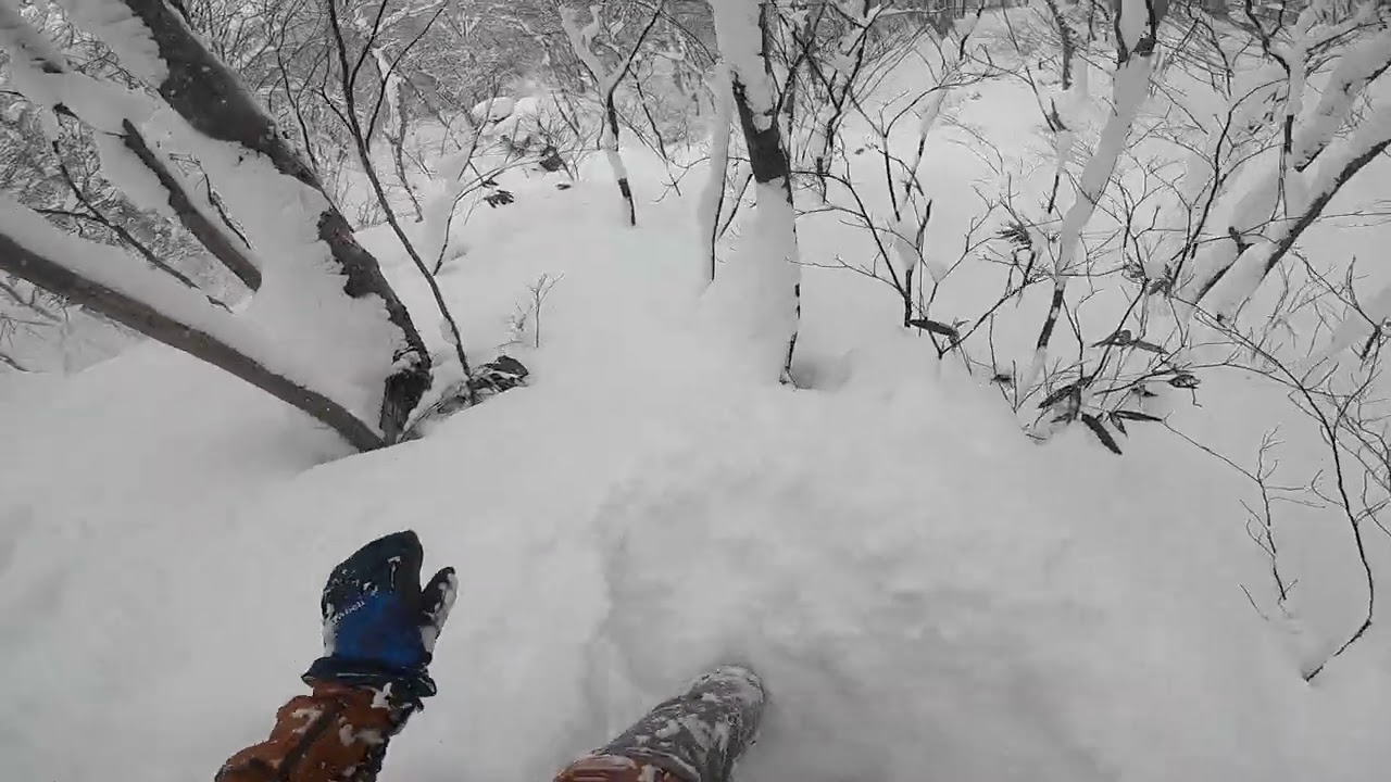 2026.01.01(Day8) 八幡平下倉 ダイヤモンドホワイト間ツリー 3本目