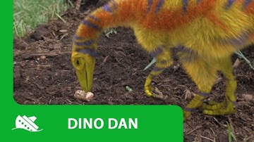 Dino Dan | Compsognathus Promo