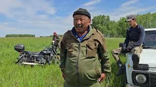 Пасём скот на зелёных лугах, дети косят траву телятам , кругом зелень и красивая природа 