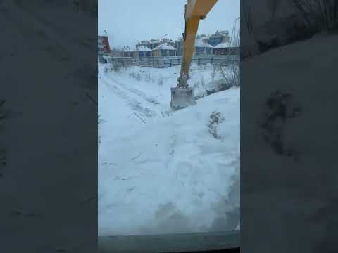 Когда не знаешь где копать #shorts