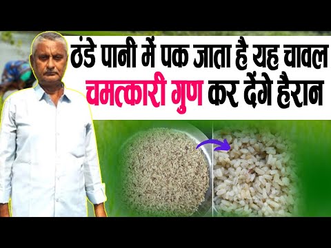 वीडियो: क्या अधिक पानी चावल को चिपचिपा बनाता है?