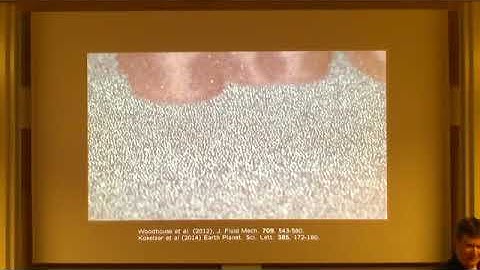 SIP | Prof. Nico Gray | Recent advances in granular rheology and possible applications