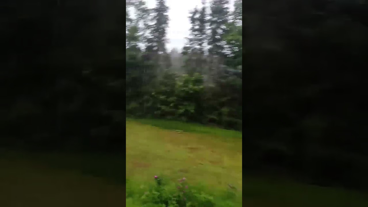 bro the rain in New Brunswick