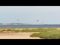 incendie de Moux Canadairs au-dessus de l'étang de Bages 24/7/21