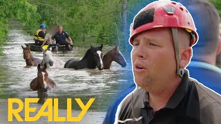 8 Horses Have Been Swept Away In A Flood And Need Rescue! | Animal Cops: Houston