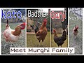 Meet our New Murghi Family