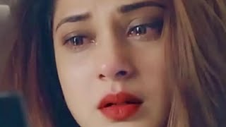 Sukh gayi jo dali uspe phool nahi phir khilta heartbroken sad Song kumar sanu heart touching song