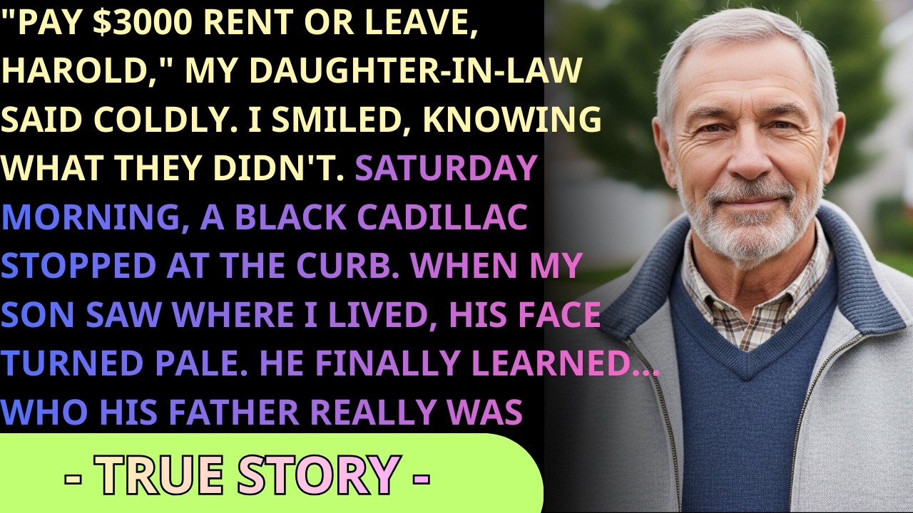 You're Just Dead Weight To Us!_ My Daughter-In-Law Sneered. I Smiled _ Packed. Saturday, A Black