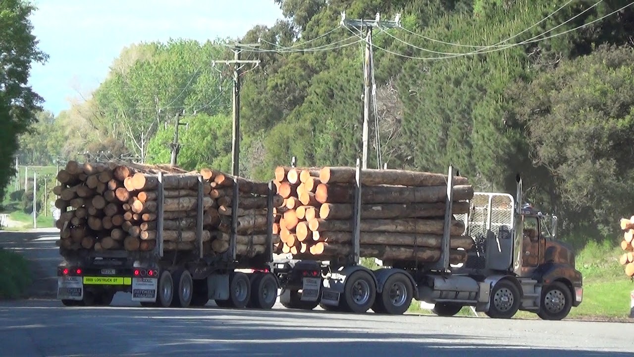 Will Trucks New Zealand, Daiken Mill, Rangiora YouTube