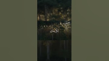 سورة آل عمران الآية 193