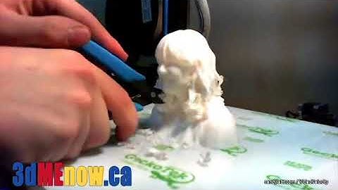 18 hour time lapse of 3D print of woman