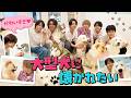 関西ジュニア【なつかれ王〜犬編〜】かわいすぎる大型犬とモフモフ祭り🐶