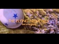 The flying frenchies  back to the fjords  trailer