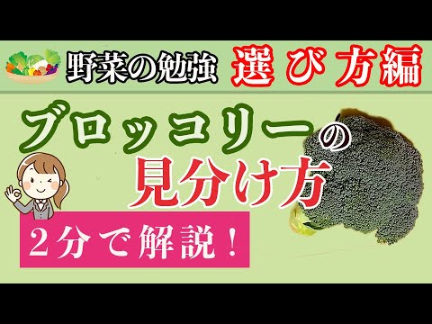 ブロッコリーの見分け方を解説！
