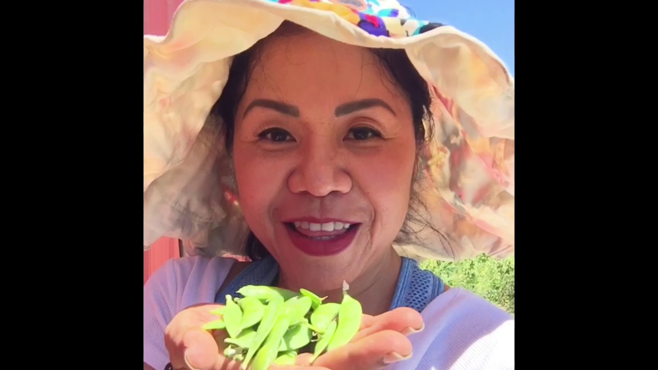 Peas be with you! 🏼 YouTube