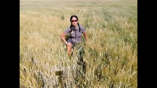 Shania open farms day 2020