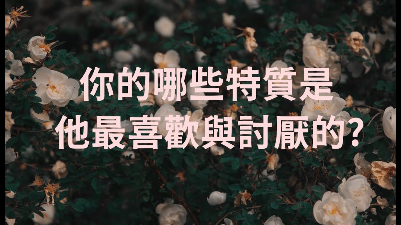 🌜塔羅占卜🌛現在他最喜歡你與最討厭的?(無時限限制Timeless)情侶/夫妻/前任/曖昧/暗戀/斷聯/冷戰/吵架/三角 縮圖