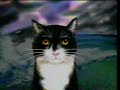 The Mousehole Cat (1994, Cartoon Film)