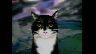 The Mousehole Cat (1994, Cartoon Film)