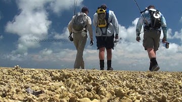 The Guides Company Seychelles Teaser
