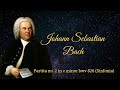 J.S.Bach - Partita No. 2 in C Minor BWV 826 (Sinfonia) | Tzvi Erez