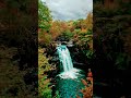 Beautiful Nature 90s Old Hindi Song Viral Youtube Trending Hindi Beautiful Nature mp3