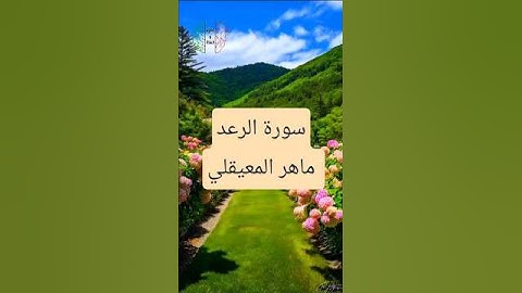 آيات من سورة الرعد للشيخ ماهر المعيقلي|  #حالات_واتس #دويتو #اكسبلور