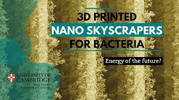 Tiny ‘skyscrapers’ help bacteria convert sunlight into electricity