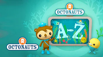 Octonauts: Creatures A to Z (US Version)