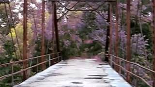 The Cry Baby/ Boggy Creek Bridge Keetonville Road in Catoosa,Oklahoma