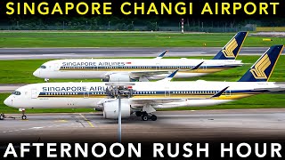 SINGAPORE CHANGI AIRPORT  Plane Spotting | LANDING  Afternoon RUSH HOUR