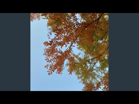 在 YouTube 上觀看「Wavy Line」