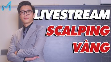 Thực Chiến “SCALPING VÀNG” Cùng mForex! - mForex Livestream