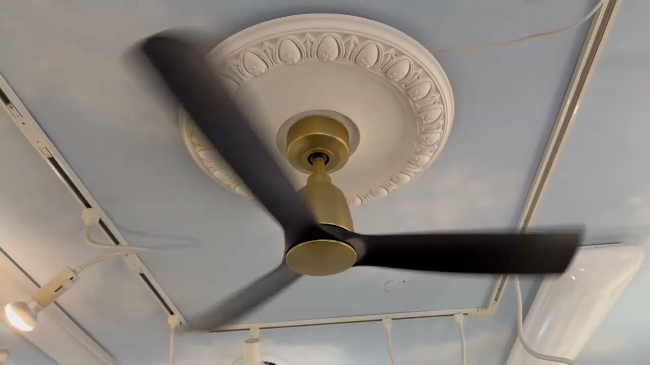 Ceiling Fans at Lighting EFX (Quick Video)