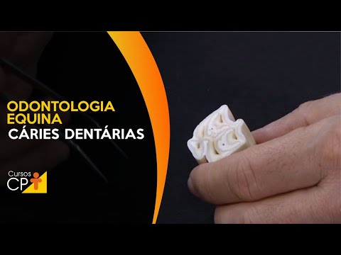 Odontologia equina: Cáries dentárias 