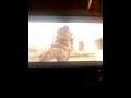 Aiden, what the fuck are you doing?!