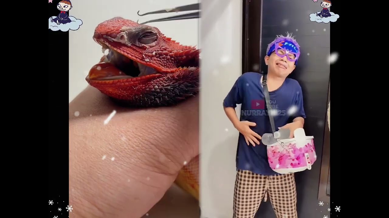 🤣👌👌👌2025 pov Must-Watch Crazy Clips Compilation 