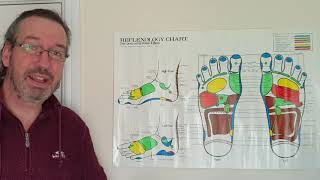 Doreen Bayly reflexology foot chart Wednesdays Reflexology Wisdom screenshot 3