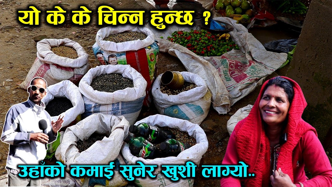 हटियामा दालजन्य उपज बेचेर मनग्ये कमाई │Nepal Chitra