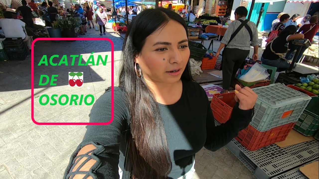 VLOG|ACATLÁN DE OSORIO🍒|un día en el mercado, por fin probé los chapulines?