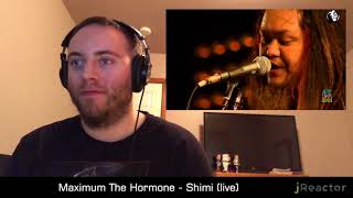 Maximum The Hormone - Shimi (live) REACTION!