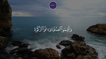 واستغفروا الله ان الله غفور رحيم   القارئ عبدالرحمن مسعد #قرآن #تلاوة_عذبة #تلاوة_خاشعة #تلاوة_جميلة