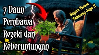 SEGERA TANAM !! 7 daun Ajaib Penarik Rezeki Jika Di Tanam Di Depan Rumah