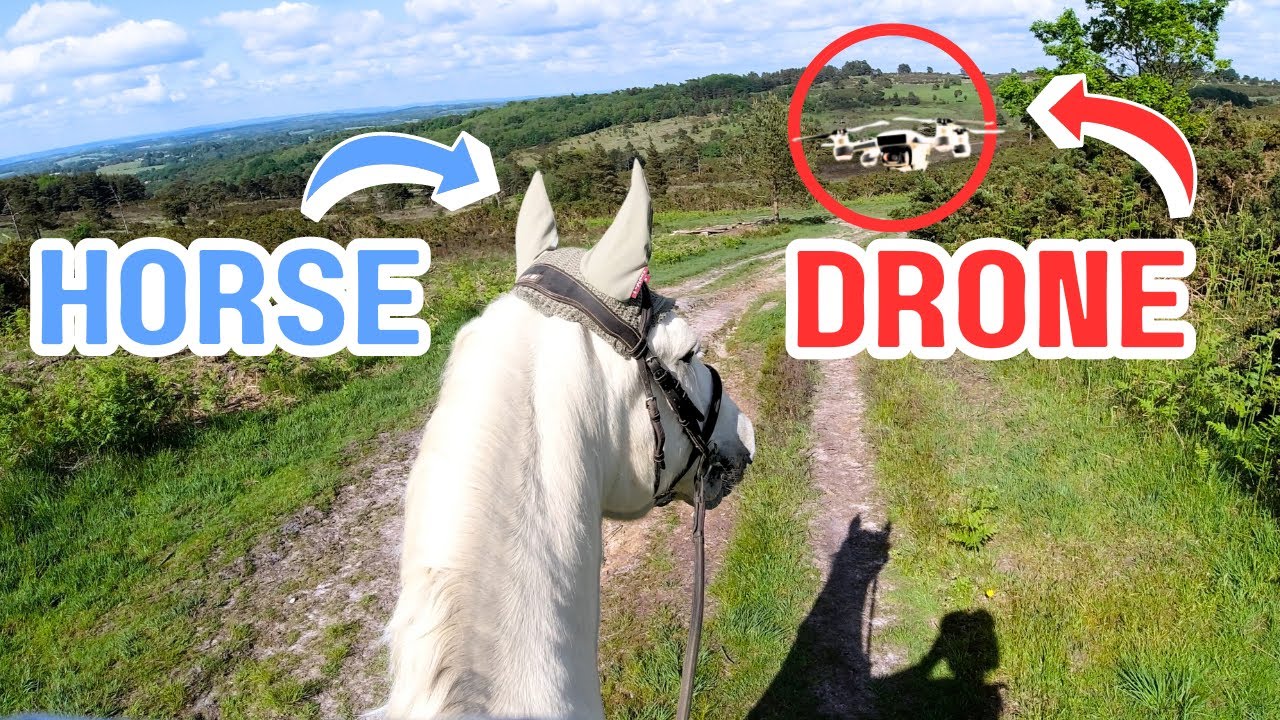 HORSE vs DRONE - POV Groom, Tack Up, Ride with Me!