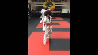 Colin Karate Lesson 20151202 Part 1