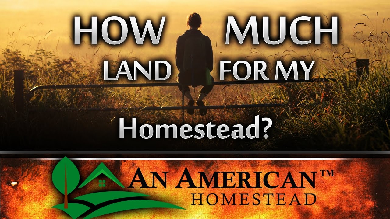How Much Land Do I Need For Homesteading YouTube
