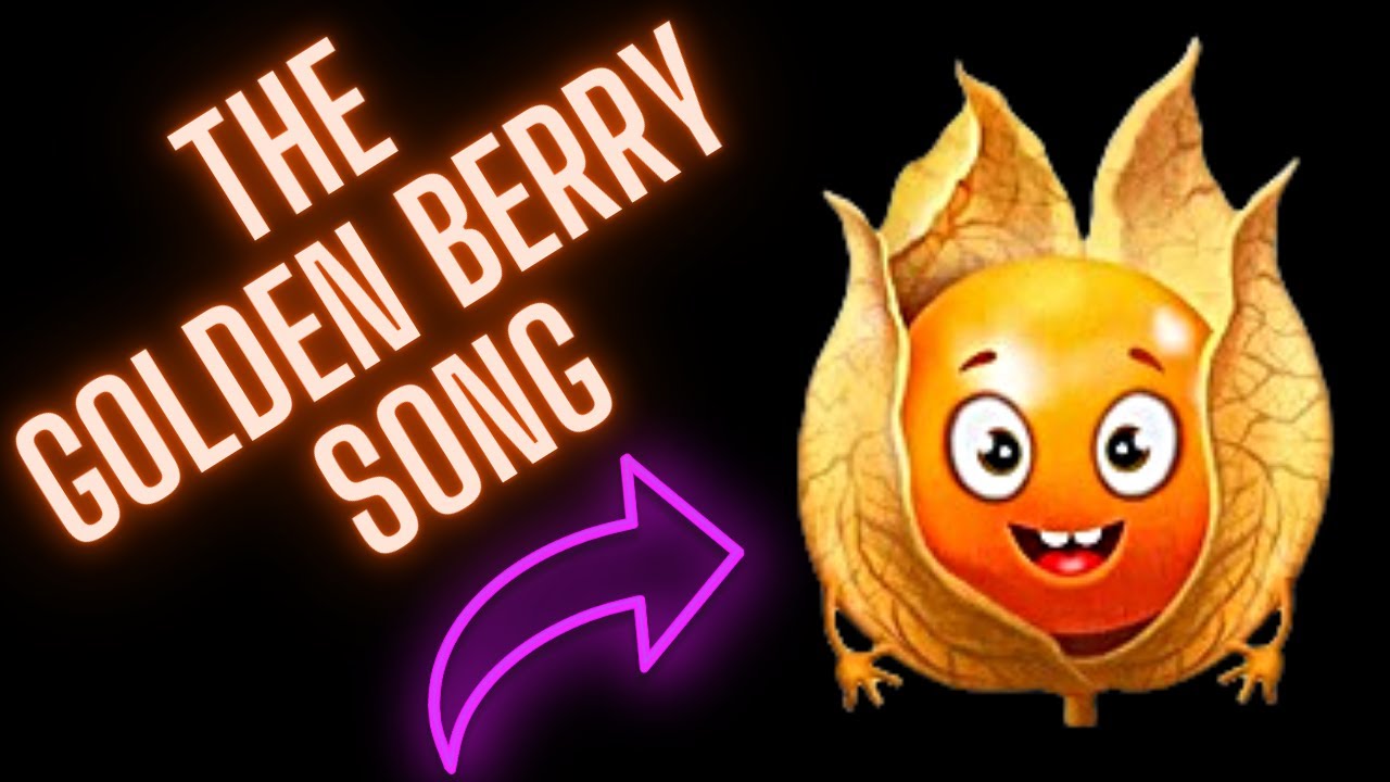 The Golden Berries Song (Strange Catchy Song About The Golden Berry