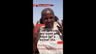 A New Beginning in Tigray: Oxen Bring Life Back to Villages