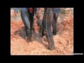 3 Thai girls in jeans get their bare feet muddy