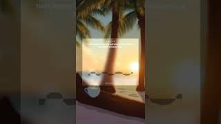 Coconut Milk 🥥 Tropical Summer Lofi Beats to Study/Relax/Chill [Rafelune] #shorts
